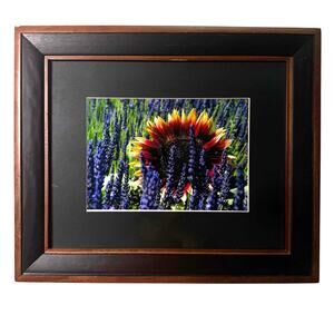 12X10 Sunflower & Lavender Framed Print - Matted to 5x7